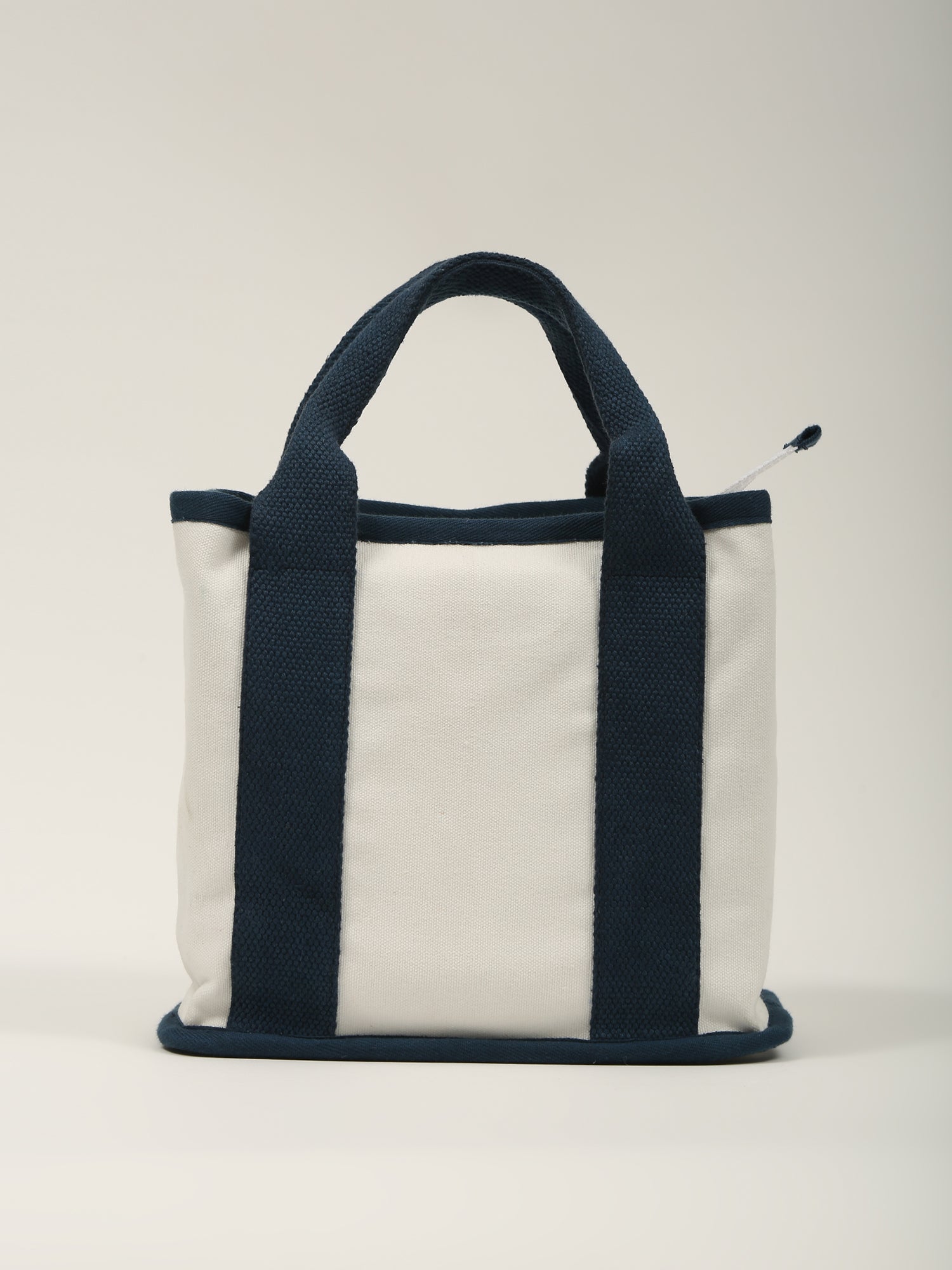 The Mini Tote - Contrast Handle